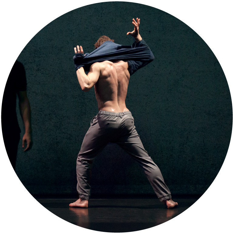 Backside of male dancer shows toned back with tshirt being taken off around dancers neck wearing grey pants