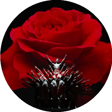 Dancers perform in front of a red rose background