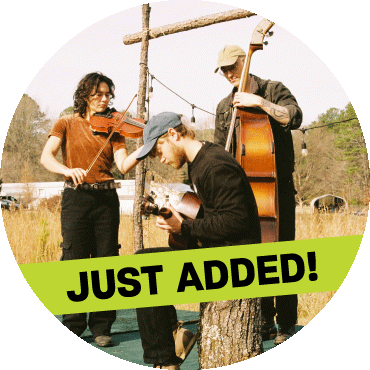 Members of Magic Tuber Stringband play instruments together